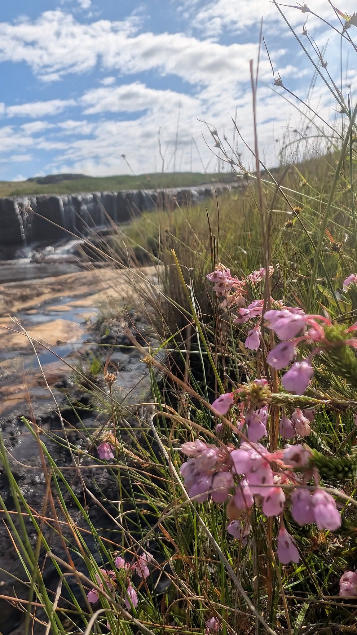 Wild Coast landscape 5